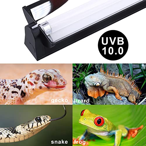 Aiicioo T5 UVB Lighting Combo Kit - Desert 10.0 Terrarium Hood Light Fixture & High Output T5 HO UVB Bulb for Reptiles Chameleon Gecko (22Inch 24W) - size: 22Inch 24W