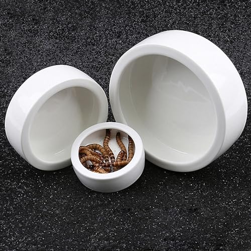 OMEM Worm Dish Mini Reptile Food Bowl Ceramics Made Mealworms Bowls Anti-Escape for Lizard Gecko Leopard Bearded Dragon (M) - size: Medium