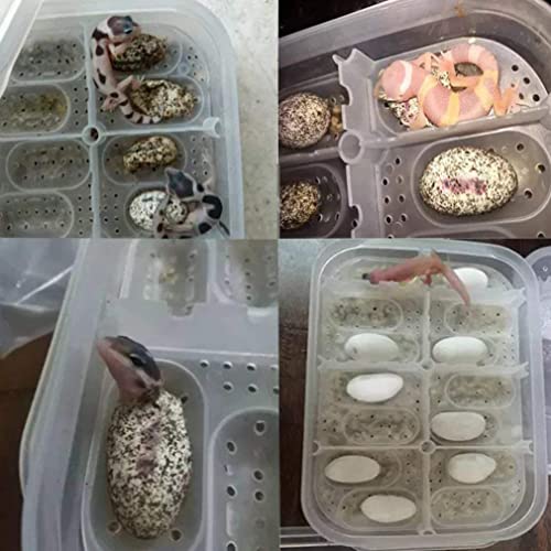 Reptile Incubation Box Reptile Incubator Egg Tray Hatching Box with 12 Grids for Turtle Gecko Lizards Mane