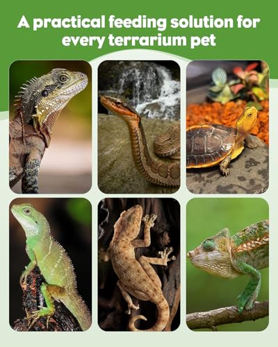 Pawfly 3 Colors Reptile Terrarium Feeding Clamp & Scoop Set - Plastic Bug Scooper, Poop Scoop for Bearded Dragon, Gecko, Lizard, Snake | Reptile Habitat Cleaning Supplies