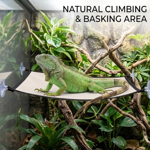 Bearded Dragon Hammock, Bearded Dragon Enrichment Large Tank Bed with Wall Climbing Design, Reptile Tank Decor Accessories for Bearded Dragons and Leopard Geckos (Rectangle, 28" x 10")