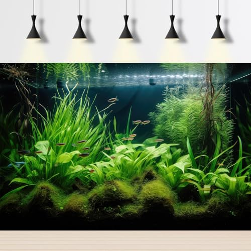 Aquarium Background Diverse Aquatic Plants Seagrasses Terrarium Background Redwood Root Lush Green Underwater Plants Tropical Style Fish Tank Background Under The Sea Aquarium Backdrop Vinyl 24x12in - color: Light Green, size: 24(W)x12(H)inches/ 60(W)*30c