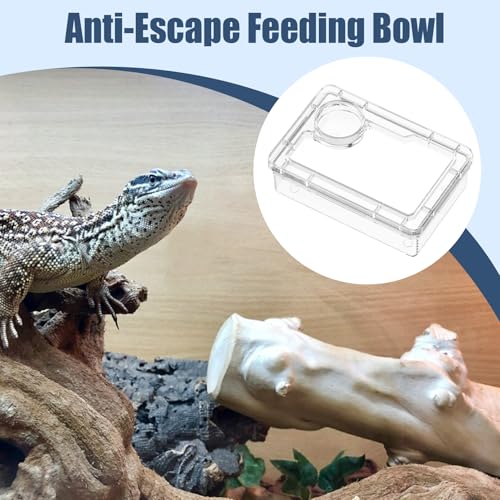 Reptile Water Bowl - Anti-Escape Crested Gecko Food Dish, Reptile Amphibian Feeders, Polystyrene | Snake Water Bowl for Habitat Feeding Gecko Chameleon Terrarium Frog Tank Lizard Tortoise Cage Le - color: White