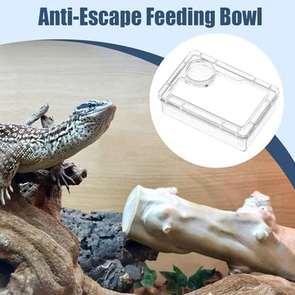 Reptile Water Bowl - Anti-Escape Crested Gecko Food Dish, Reptile Amphibian Feeders, Polystyrene | Snake Water Bowl for Habitat Feeding Gecko Chameleon Terrarium Frog Tank Lizard Tortoise Cage Le - color: White