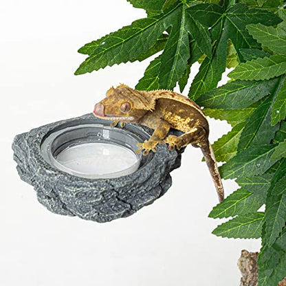 REPTIZOO Reptile Magnetic Feeder Ledge, Single Bowl Reptile Food Dish with 3PCS Feeding Cups Food Water Feeder for Crested Gecko Lizard Chameleon Pets - size: Small