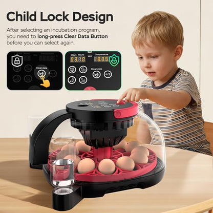 Full Automatic 12 Egg Incubator with APP Control & Video Record, Automatic Egg Turning, Temp & Humidity Control, for Beginner & Study & Small Farm, Ideal for Parrot Quail Chicken Hatching
