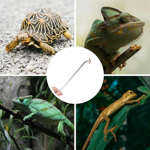 Fri4Free 2PCS 10.6" Stainless Steel Aquarium & Reptile Feeding Tweezers | Straight & Curved Tips, Extra Long, For Lizards Snakes Bearded Dragon, Plant, Aquascape Terrarium Tank Tools,Accessories