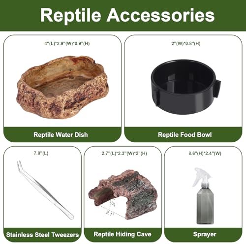 Tarantula Enclosure Spider Terrarium Hermit Crab Tank Starter Kit | Large Escape Proof PC Reptile Habitat 11.8" x 7.87" x 5.9" Full View for Isopods Bug Insect Frog Gecko Snails - size: L-Starter Kit
