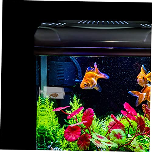 6pcs Acrylic Feeding Dishes for Fish Reptiles Food Holders for Aquariums and Convenient Feeding Trays for Betta and Shrimp Tanks