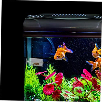 6pcs Acrylic Feeding Dishes for Fish Reptiles Food Holders for Aquariums and Convenient Feeding Trays for Betta and Shrimp Tanks