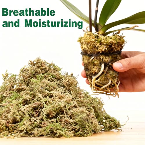 12L Premium Sphagnum Moss for Plants Indoor, New Zealand Sphagnum Moss for Orchid Potting Mix Terrarium Succulent Carnivorous Ferns Hosta Garden & Reptile Habitat