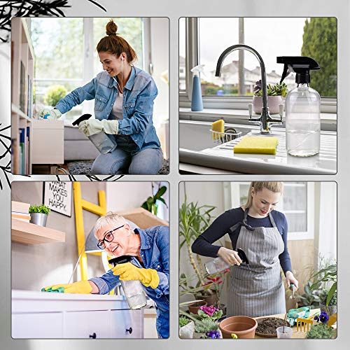 Worldgsb Glass Spray Bottles, 16oz Refillable Containers, Empty Boston Round Bottles with Labels & Adjustable Nozzle for Cleaning, Gardening, Aromatherapy, Pets, Plant, Hair -Clear (1 Pack) - color: Clear, style: 1 Pack