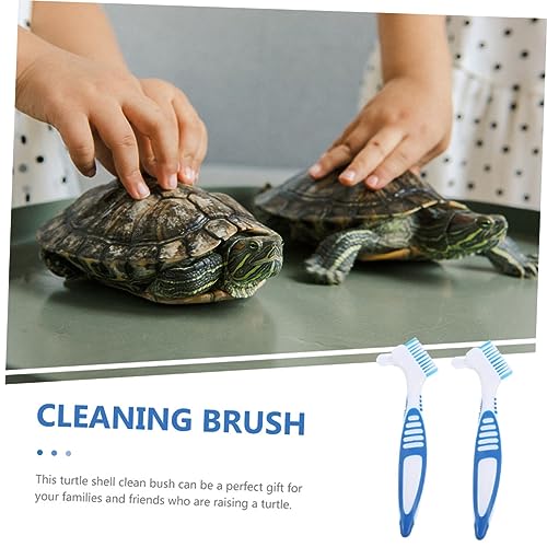 balacoo 2pcs Turtle Shell Cleaning Brush for Aquarium Supplies Tank Cleaner Turtle Accessories - color: Blue