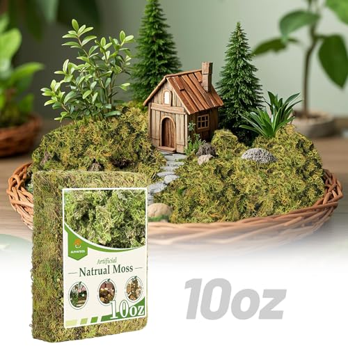 10oz Natural Green Moss for Crafts Beginners - Starter Moss for Plants Indoor, Artificial Fairy Gardens, Mini Mosswall, Glass Terrariums, Filling Fake Plants, Home Decoration - color: 10 Oz