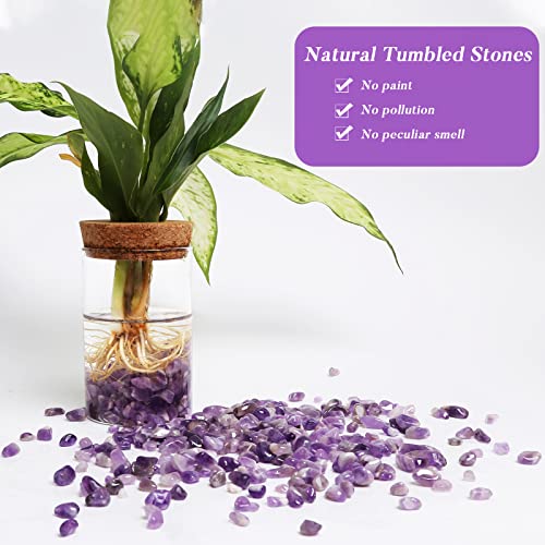 QICQDRAM Polished Gem Stones Rocks Amethyst Crystals Bulk Natural 1LB | Small Tumbled Stones Crystal Chips Bulk for Healing Crystals Fish Tank Gravel Vase Filler (405g/14.28oz) - color: Amethyst