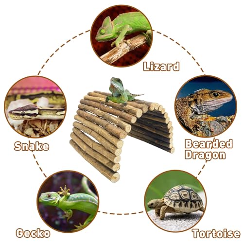 BNOSDM 18.89"x 12.99" Reptile Hideout Wooden Bridge Lizard Hide Caves Bearded Dragon Habitat Accessories for Gecko Snake Frog Chameleon Iguana Tortoise