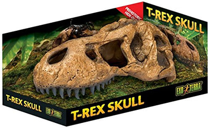 Exo Terra T-Rex Skull Terrarium Decor - style: Modern