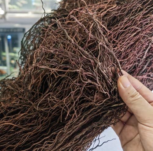 YZHZOM 160g Aquarium Driftwood Roots - Bushy Tank Wood for aquascaping -Perfect for Fry, Shrimp or Terrarium,Natural Wood Roots for Aquarium aquascaping