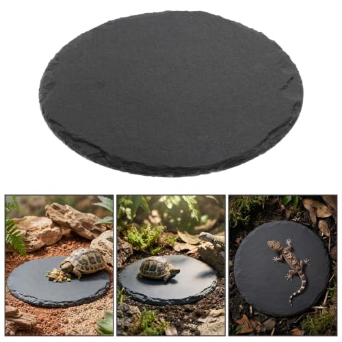 Turtle Basking Platform, 3.9 X 3.9 Inch Reptile Basking Platform | Tortoise Rock Plate Reptile Food Dish Landscape Habitat Decor for Gecko Lizard Bearded Dragon Turtle