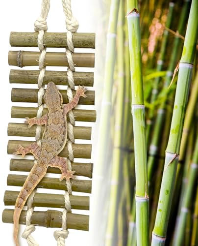 VCEPJH Reptile Bridge 2 Pack Crested Gecko Climbing Ladder Bamboo Basking Lounger Leopard Gecko Tank Accessories for Hermit Crab Juvenile Bearded Dragon Chameleon Small Lizard Tree Frog