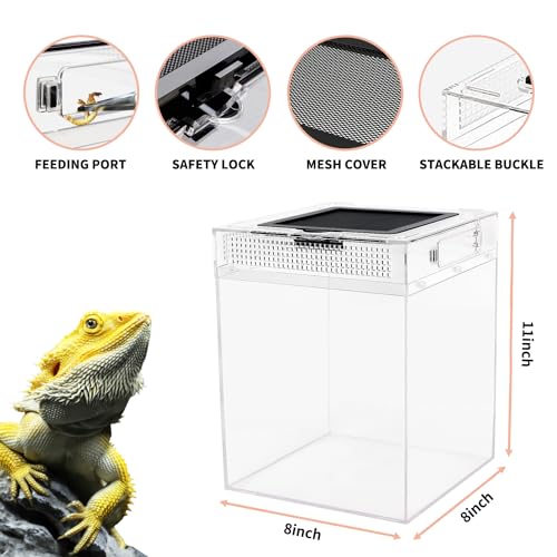 Reptileg Growth Reptile PC Terrarium, 8''x 8''x 11'' with Top Sliding Door Screen Ventilation Tarantula Enclosure for Snake, Frog,Insect,Tarantula,Hermit Crab，Spider,Iguana,Tortoise,Bearded Dragon - size: 8" x 8"x 11"
