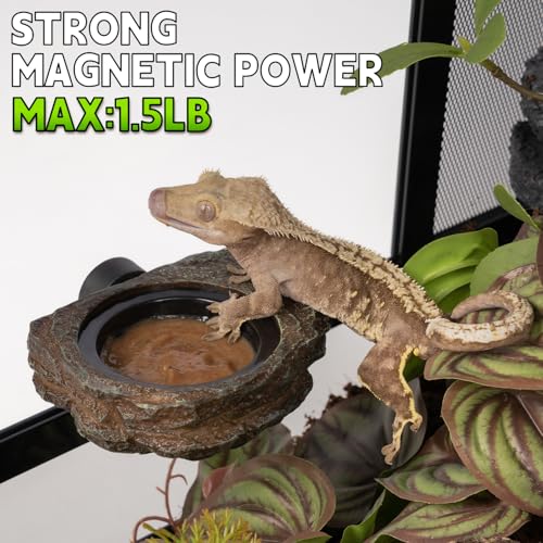 Magnetic Gecko Feeding Ledge, Reptile Food Dish with 3PCS Feeding Cups Crested Gecko Feeder Ledge Water Bowl for Lizard Chameleon Bearded Dragon Tank Accessories - size: Small