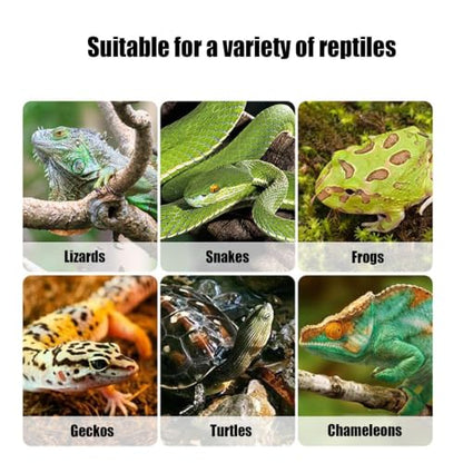 Snake Feeding Box Breathable Pet Breeding Houses Reptile Animals Habitat | Travel Small Terrariums Pet Breeding Houses for Lizard, Frog, Bearded Dragon