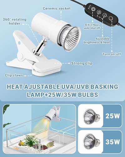 GOZILLA Small Turtle Tank Kit(Tank+Lamp+Filter), Acrylic Turtle Starter Kit with Adjustable Lamp, Reptile Habitat and Terrarium with Multi-Functional Areas for Small Reptiles. (White Kit)
