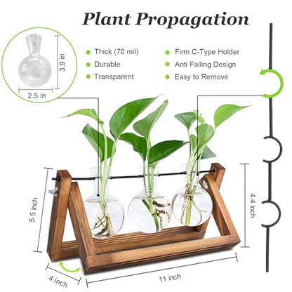 Plant Propagation Station, Plant Terrarium with Wooden Stand | Unique Gardening Birthday Gifts for Women Plants Lovers, Home Office Garden Decor Planter - 3 Bulb Glass Vases - size: 3 Bulb Vase