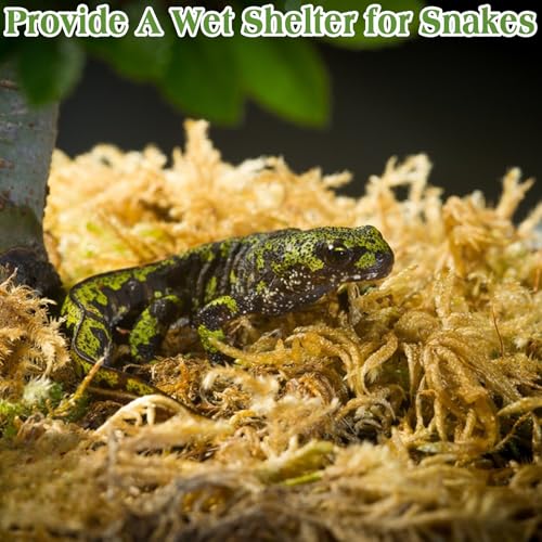 Sphagnum Moss for Reptiles, 6 oz Natural Terrarium Bedding Substrat | Long-fibered Sphagnum Moss for Reptile, Holds Humidity for Bearded Dragons, Geckos, Snakes, Turtles, and Hermit Crabs - size: 6 OZ