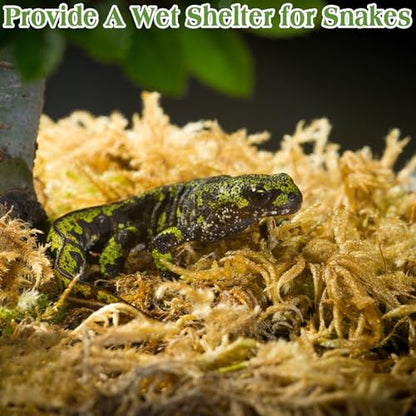 Sphagnum Moss for Reptiles, 6 oz Natural Terrarium Bedding Substrat | Long-fibered Sphagnum Moss for Reptile, Holds Humidity for Bearded Dragons, Geckos, Snakes, Turtles, and Hermit Crabs - size: 6 OZ
