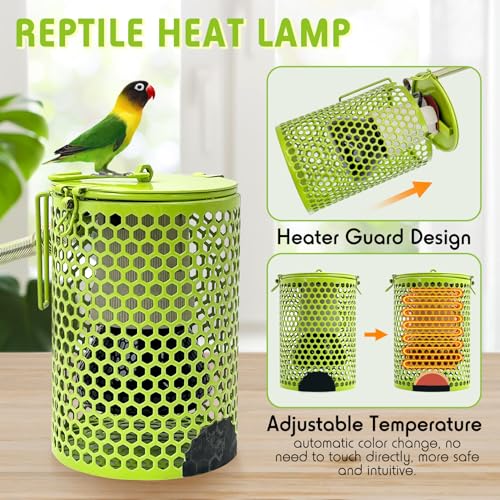 Hamiledyi Ceramic Heat Lamp Bulb with Lampshade,Reptile Heat Lamp Guard 100W Bird Cage Heater Adjustable Temperature Anti-Scald Heating Bulb No Light Emitter for Reptile,Bearded - color: Green