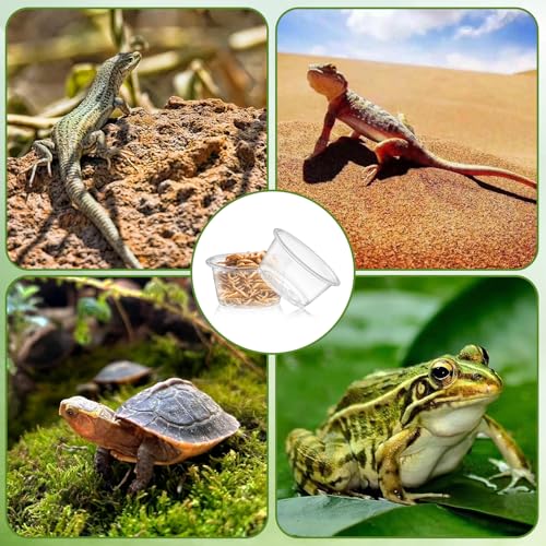 1200PCS 0.5oz Gecko Food Cups | Durable Plastic Leak-Proof Reptile Feeder Cups - for Geckos, Lizards & Small Pets | Multi-Purpose for Terrarium Daily Feeding(0.5oz) - size: 1200PCS