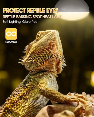 Reptile Heat Lamp Bulbs-100W UVA Natural Daylight Heating Lamp Basking Bulb | for Bearded Dragon, Basking Spot Floodlight Light for Reptiles, Lizard, Turtle, Snake Bathroom, Plants,Chickens Pets, 2 Pack - color: Daylight