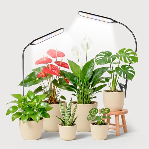 Grow Light with Clip, Full Spectrum, Flexible Gooseneck, 2Pack | 6000K Rectangular Plant Light, Timer 6/12/16Hrs, 3 Spectrums, 5 Dimmable Levels, for Pot & Table, Small Plants - size: 2Pack