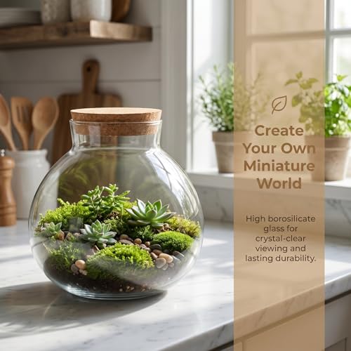 Glass Terrarium Bottle with Cork Lid: Round Borosilicate Jar for DIY Microlandscape - Clear Plant Display Container Moss Holder Tabletop Storage Canister