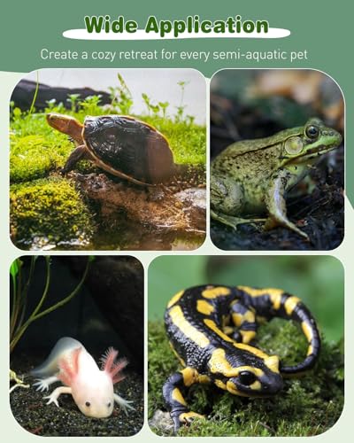 Pawfly Turtle Basking Dock with Ramp, Floating Reptile Platform for Aquatic Turtles in 30 Gallon Aquarium Tanks or Larger