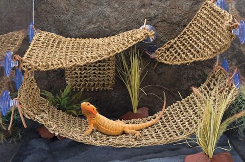 PENN-PLAX Reptology Lizard Lounger Corner Triangle – 100% Natural Seagrass Fiber – Great for Bearded Dragons, Anoles, Geckos, Iguanas, and Other Reptiles – Small - size: Small