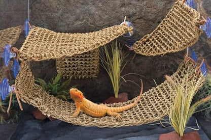 PENN-PLAX Reptology Lizard Lounger Corner Triangle – 100% Natural Seagrass Fiber – Great for Bearded Dragons, Anoles, Geckos, Iguanas, and Other Reptiles – Small - size: Small