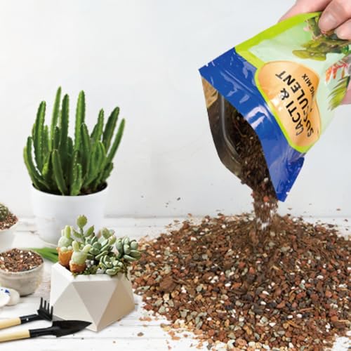 Succulent & Cactus Soil Potting Mix 10qt, Chunky Dirt with Fast Draining Fits for Bonsai, Terrarium and Houseplant - color: Succulent & Cactus Soil, size: 10qt
