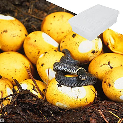 POPETPOP Hatching Box for Reptiles Lightweight Incubation Container for Snakes Lizards and Geckos Transparent Design for Visibility Safe Plastic Material for Growth