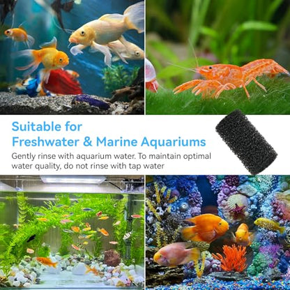Prefilter Sponge for Fluval AC20/AC30/AC50 Filter, Aquarium Intake Sponges | Edge Prefilter Sponge Intake Strainer Cover for Freshwater Saltwater Aquariums Small Fish Shrimp Fry Fish, 6 pcs