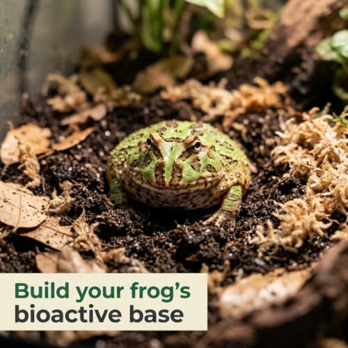 Pacman Frog Bioactive Kit - 9qt Premium Bioactive Substrate + 2qt Leaf Litter + 4qt Sphagnum + Charcoal Iso-Flats Hide + 3oz Calcium + 25 Dwarf White Isopods + 8oz Tropical Springtails