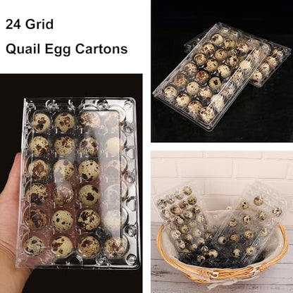 120 Pack Quail Egg Cartons - Clear Plastic Trays Hold 24 Eggs Securely, Ultimate Small Egg Holders for Bulk Storage and Display - size: 120 Pack Quail Egg Cartons 24 Grids