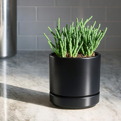 D'vine Dev 4-Pack Ceramic Pots with Saucers, Black, 4.7 in, 94-X-B-2 | Glazed Ceramic, Drainage Hole and Saucer, Sleek Cylinder Shape, High Temperature Fired, Ideal for Small Houseplants - color: Black, size: 4.7 Inch