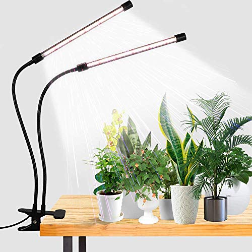 LED Grow Light,6000K Full Spectrum Clip Plant Growing Lamp with White Red LEDs for Indoor Plants,5-Level Dimmable,Auto On Off Timing 4 8 12Hrs | Desk Lamp with White Red LEDs for Indoor Plants,Clamp with Flexible Gooseneck,5-Level Dimmable,Auto Timer 4 8