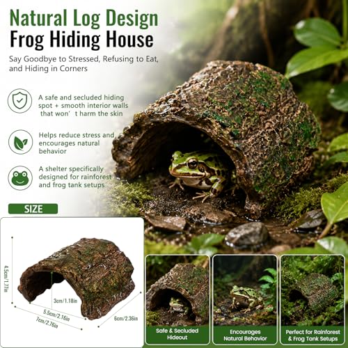 Frog Tank Accessories Set – Complete Tree Frog Habitat Kit with Hideout Cave, Water Dish, Feeding Bowl, Suction Cup Plants & Climbing Decor | Toad Terrarium Supplies for Amphibians