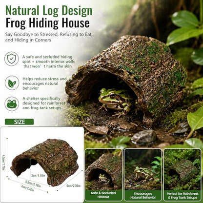 Frog Tank Accessories Set – Complete Tree Frog Habitat Kit with Hideout Cave, Water Dish, Feeding Bowl, Suction Cup Plants & Climbing Decor | Toad Terrarium Supplies for Amphibians