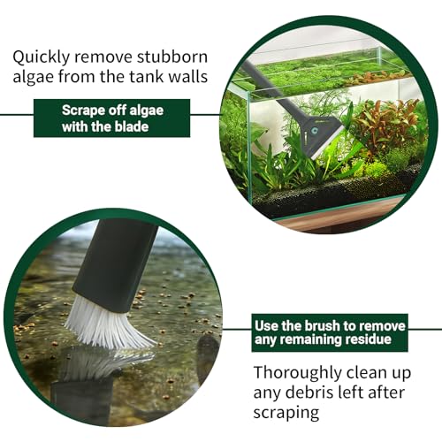 Aquarium Algae Scraper with Dual Head Design for Small Tanks | 2-in-1 stainless steel blade & soft brush.,Easy blade replacement,Safe glass cleaner for fish tank maintenance