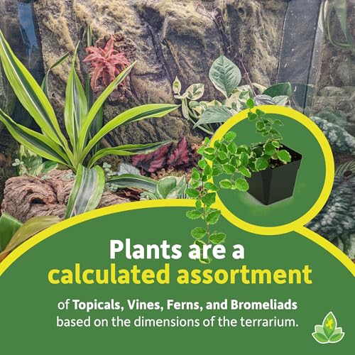 Josh's Frogs 29 Gallon Tropical Vivarium Plant Kit - size: 29 Gallon